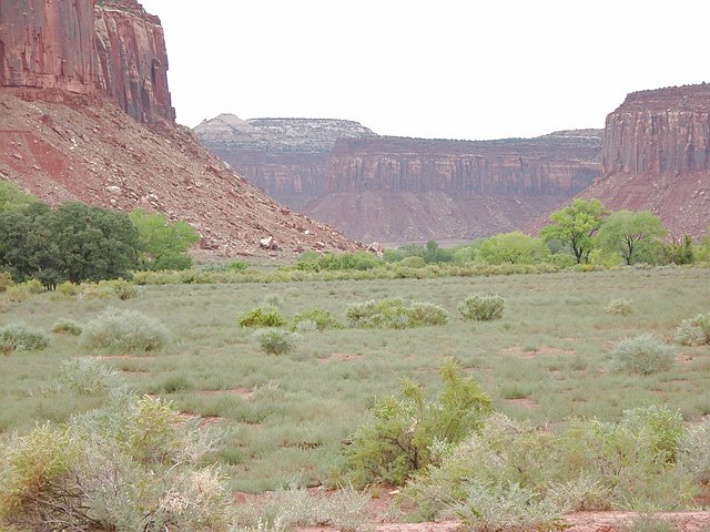 <b>Canyonlands